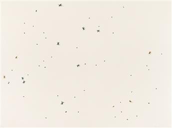 ED RUSCHA (1937 - ) Insects.